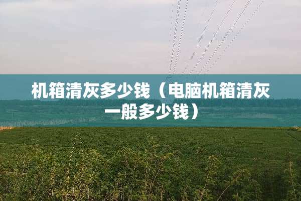 机箱清灰多少钱（电脑机箱清灰一般多少钱）