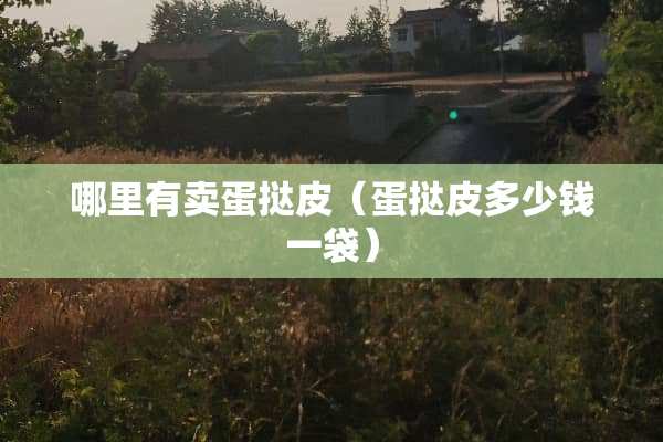 哪里有卖蛋挞皮（蛋挞皮多少钱一袋）