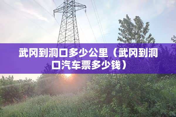 武冈到洞口多少公里（武冈到洞口汽车票多少钱）