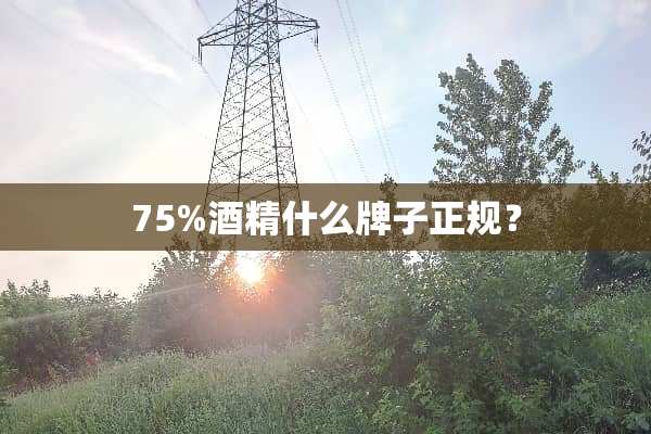 75%酒精什么牌子正规？