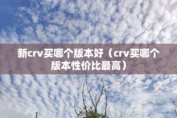 新crv买哪个版本好（crv买哪个版本性价比最高）