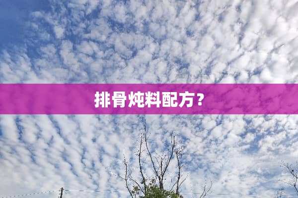 排骨炖料配方？