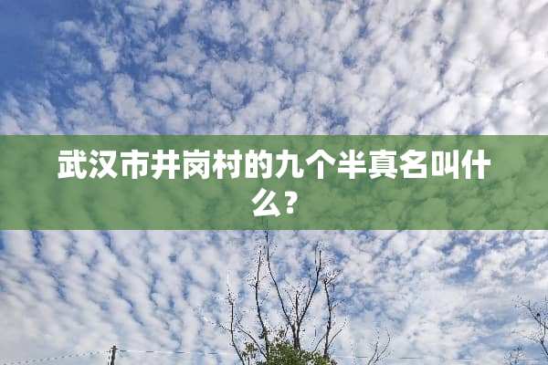 武汉市井岗村的九个半真名叫什么？