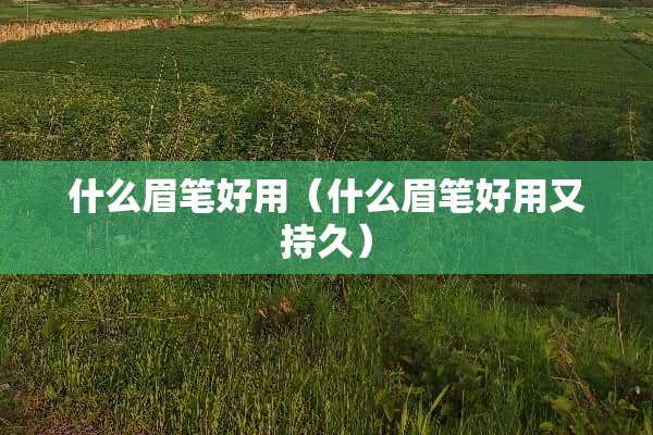 什么眉笔好用（什么眉笔好用又持久）