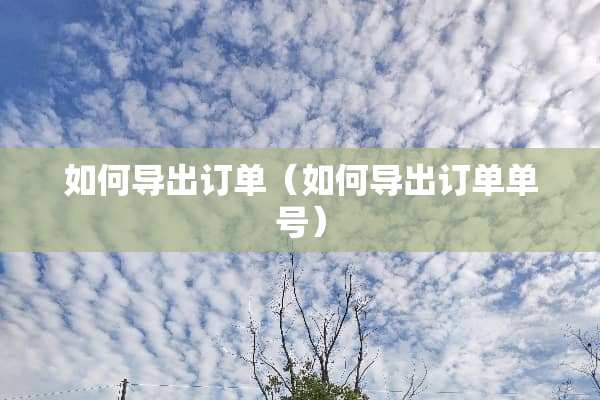 如何导出订单（如何导出订单单号）