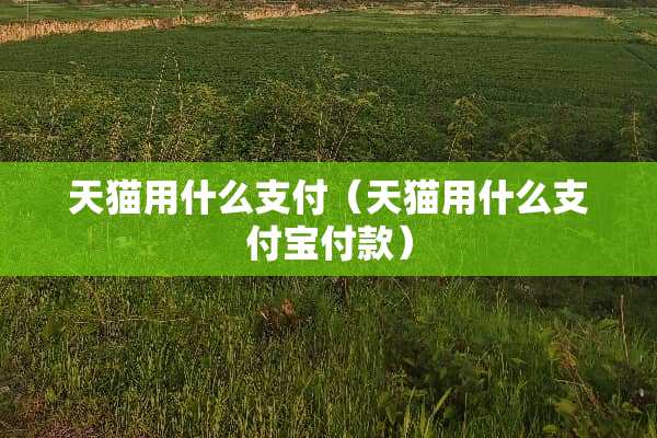 天猫用什么支付（天猫用什么支付宝付款）
