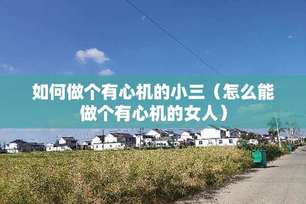 如何做个有心机的小三（怎么能做个有心机的女人）