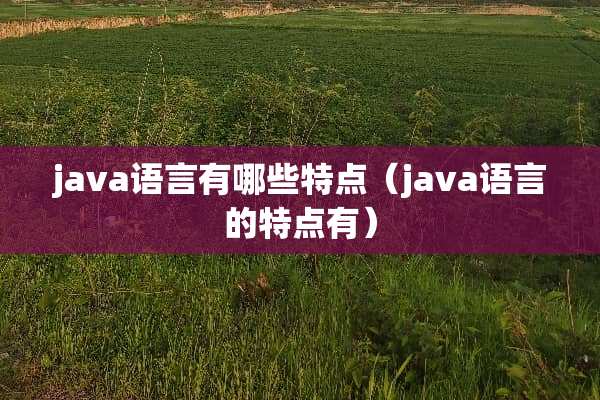 java语言有哪些特点（java语言的特点有）