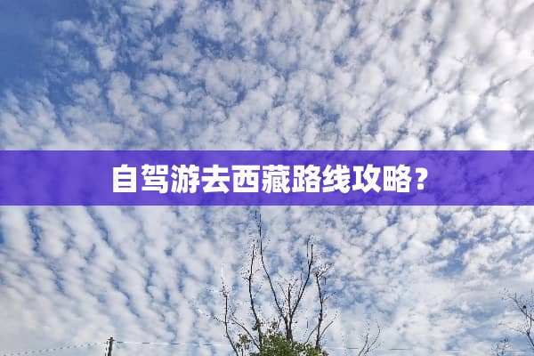 自驾游去西藏路线攻略？