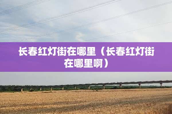 长春红灯街在哪里（长春红灯街在哪里啊）