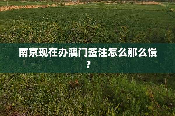 南京现在办澳门签注怎么那么慢？
