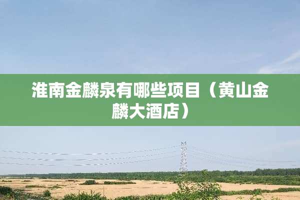 淮南金麟泉有哪些项目（黄山金麟大酒店）
