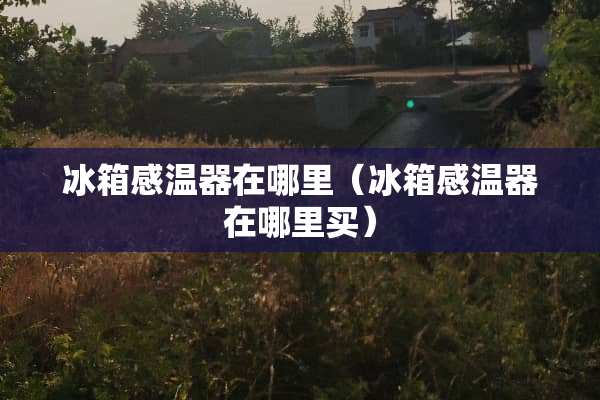 冰箱感温器在哪里（冰箱感温器在哪里买）