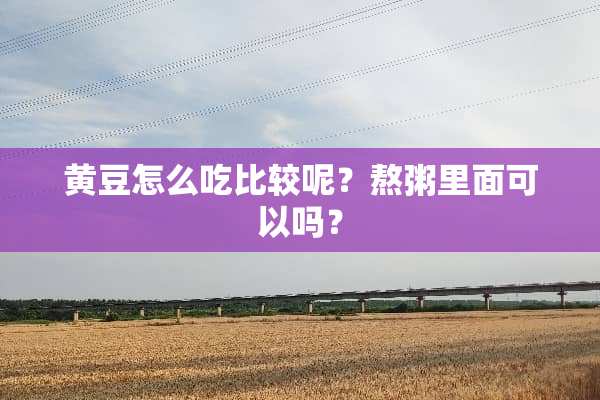 黄豆怎么吃比较呢？熬粥里面可以吗？