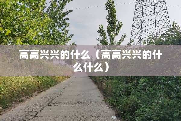 高高兴兴的什么（高高兴兴的什么什么）