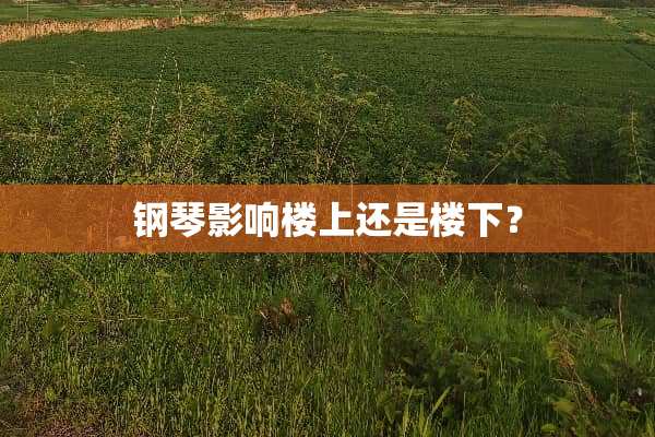 钢琴影响楼上还是楼下？