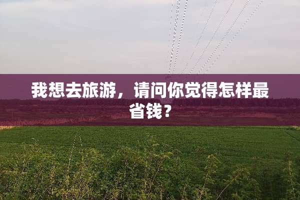 我想去旅游，请问你觉得怎样最省钱？