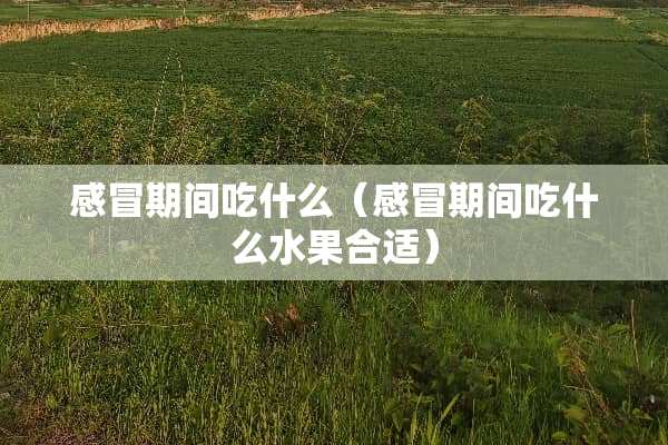 感冒期间吃什么（感冒期间吃什么水果合适）