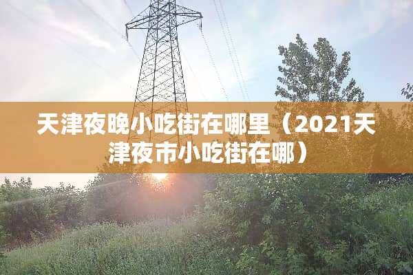 天津夜晚小吃街在哪里（2021天津夜市小吃街在哪）