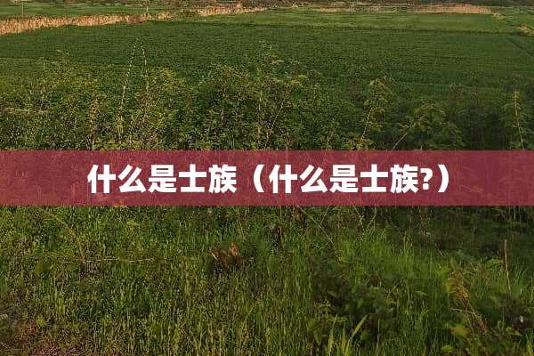 什么是士族（什么是士族?）