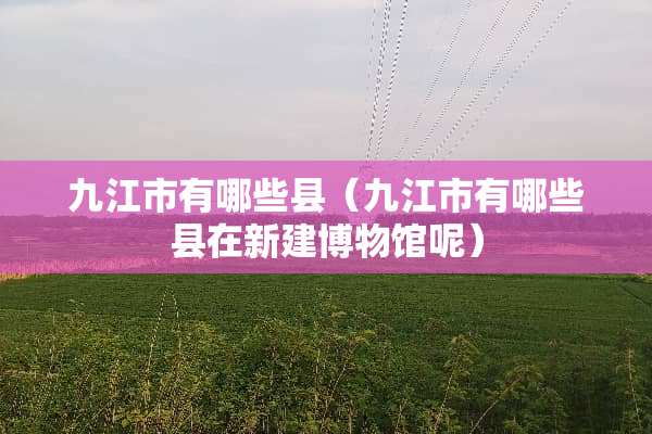 九江市有哪些县（九江市有哪些县在新建博物馆呢）