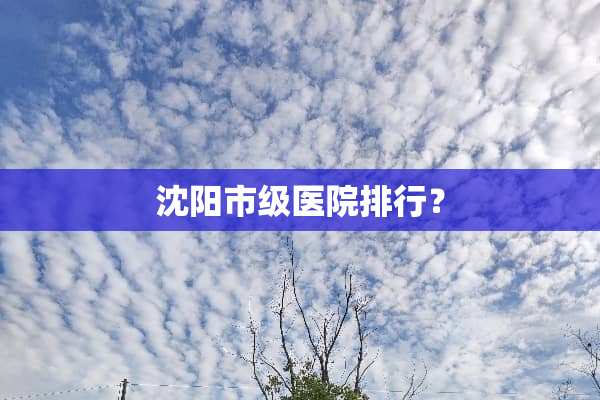沈阳市级医院排行？