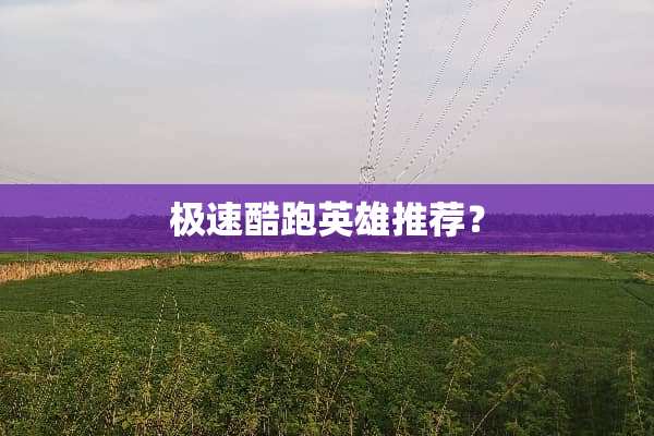 极速酷跑英雄推荐？