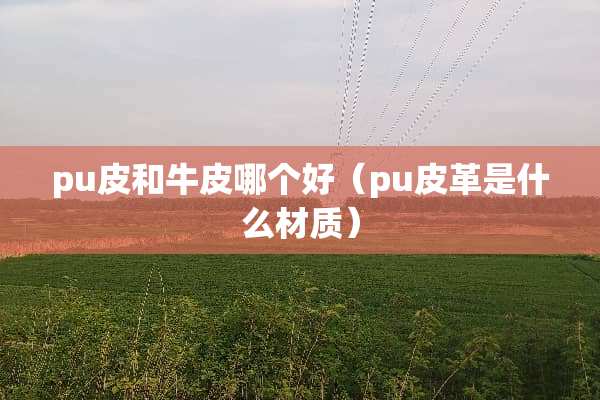 pu皮和牛皮哪个好（pu皮革是什么材质）