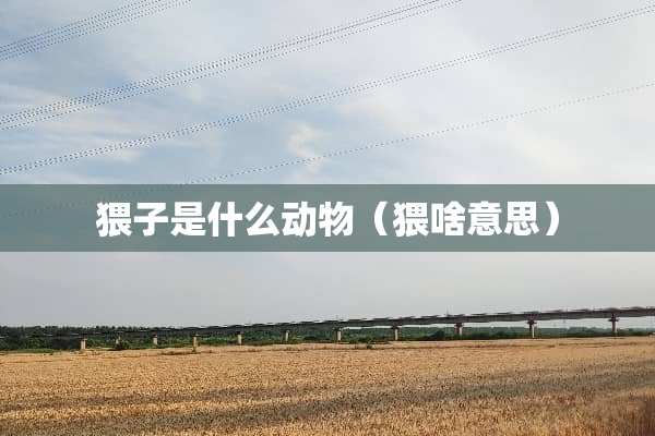 猥子是什么动物（猥啥意思）