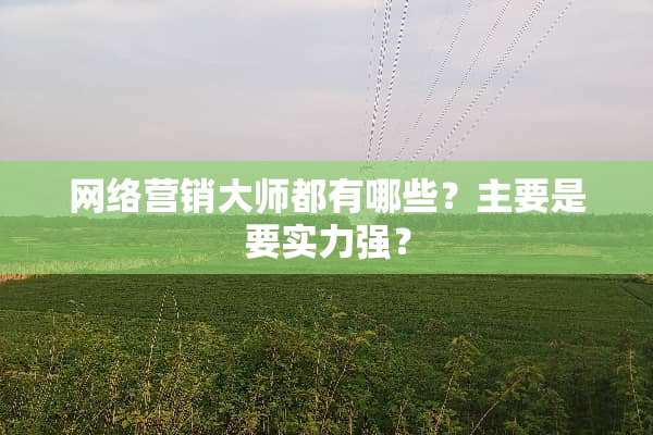 网络营销大师都有哪些？主要是要实力强？