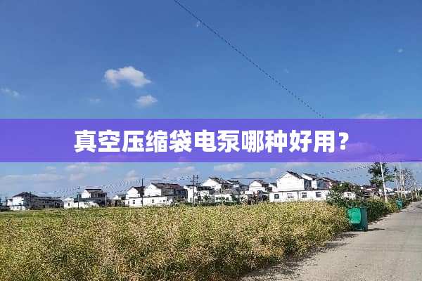 真空压缩袋电泵哪种好用？