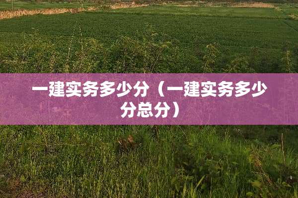 一建实务多少分（一建实务多少分总分）