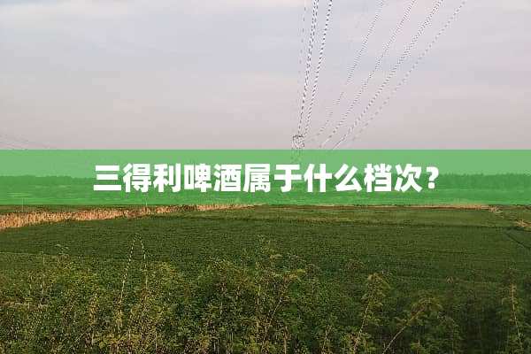 三得利啤酒属于什么档次？