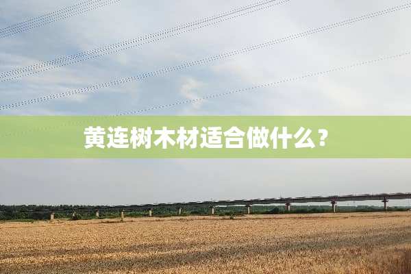 黄连树木材适合做什么？