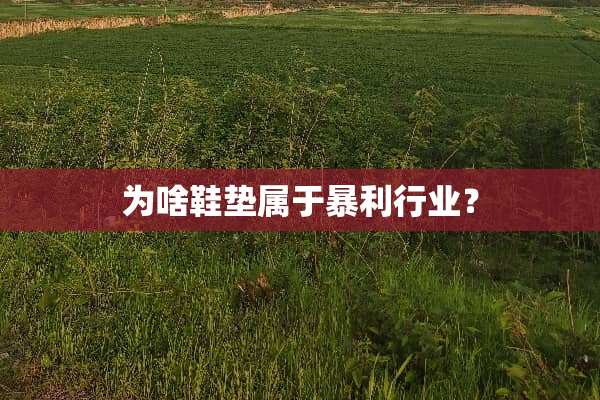 为啥鞋垫属于暴利行业？