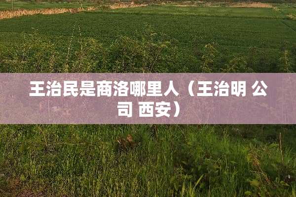 王治民是商洛哪里人（王治明 公司 西安）