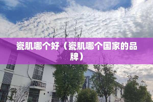 瓷肌哪个好（瓷肌哪个国家的品牌）