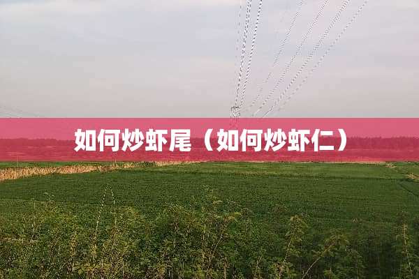 如何炒虾尾（如何炒虾仁）