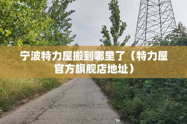 宁波特力屋搬到哪里了（特力屋官方旗舰店地址）