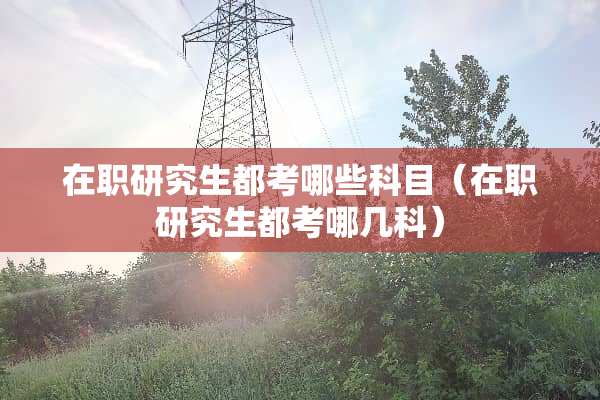 在职研究生都考哪些科目（在职研究生都考哪几科）