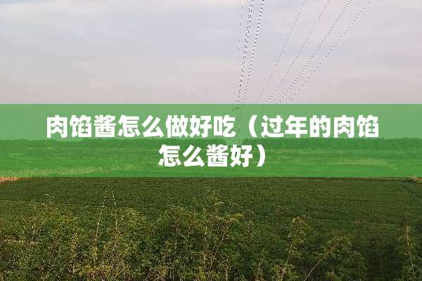 肉馅酱怎么做好吃（过年的肉馅怎么酱好）