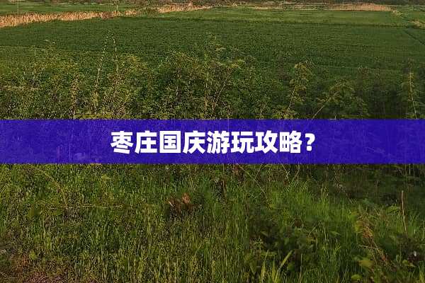 枣庄国庆游玩攻略？