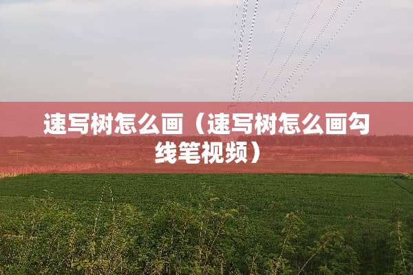 速写树怎么画（速写树怎么画勾线笔视频）