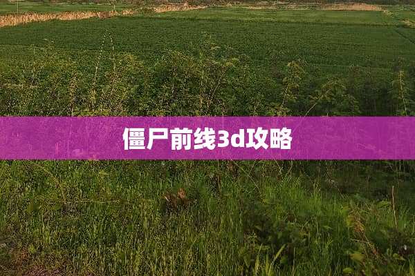 僵尸前线3d攻略