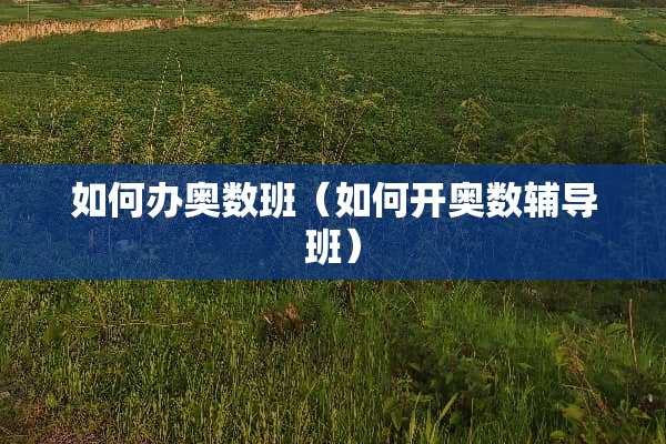 如何办奥数班（如何开奥数辅导班）