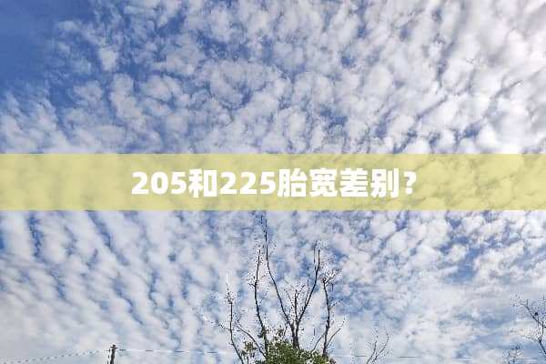 205和225胎宽差别？