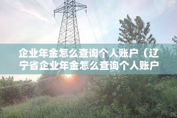 企业年金怎么查询个人账户（辽宁省企业年金怎么查询个人账户）