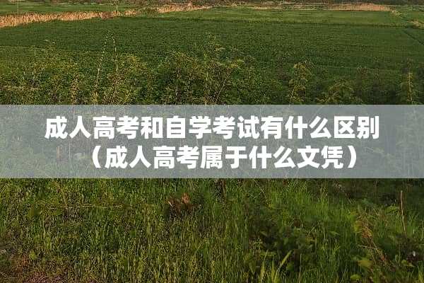 **高考和自学考试有什么区别（**高考属于什么文凭）