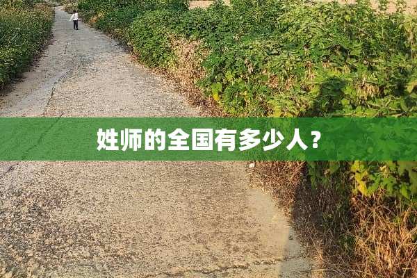 姓师的全国有多少人？