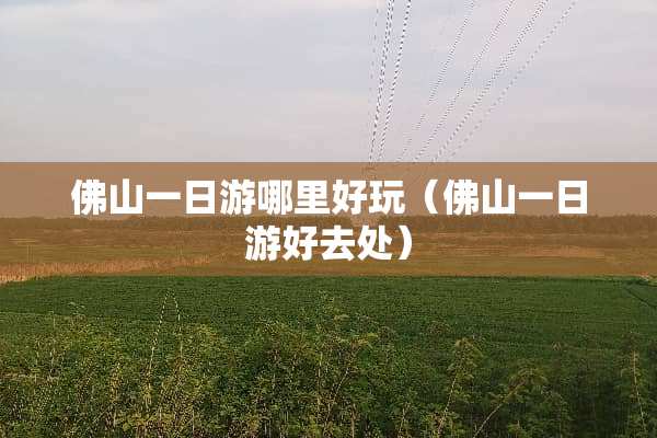 佛山一日游哪里好玩（佛山一日游好去处）